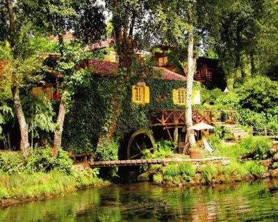 casa en el bosque en otoÃ±o