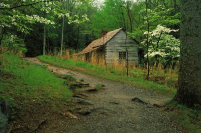 Roaring Fork Trail