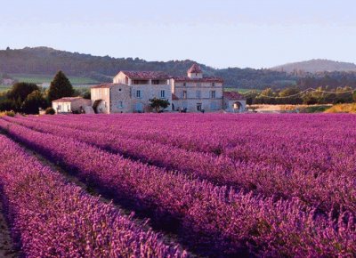 French countryside