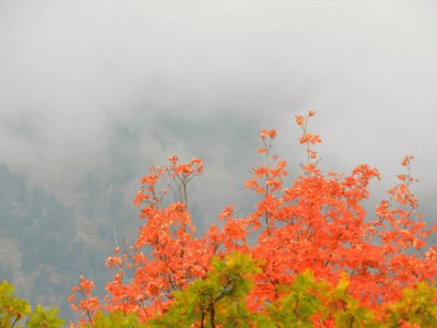 promise of fall Wyoming