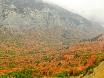 fall in Wyoming