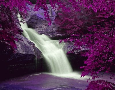 Waterfall in Purple Splendor