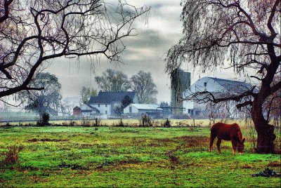 peaceful morning