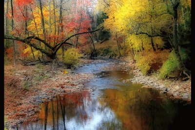 autumn along a Pennsylvania stream