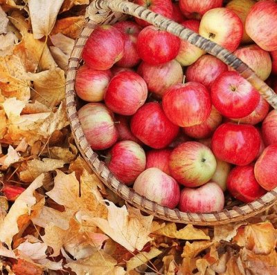 a basket of  beauty