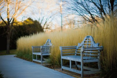 benches