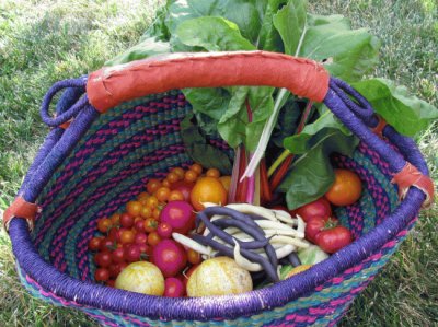 food from the garden