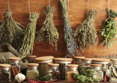 drying herbs