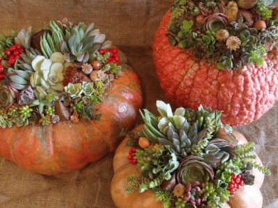 pumpkin planters