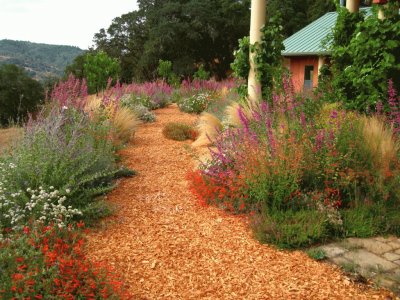 indigenous plant garden CA