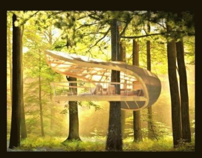 tree house 1