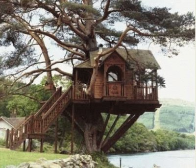 tree house 3