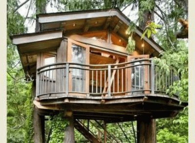 tree house 5.