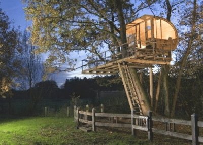 tree house 6