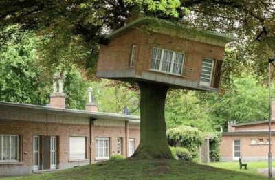 tree house 7