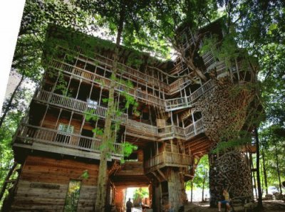 tree house 8