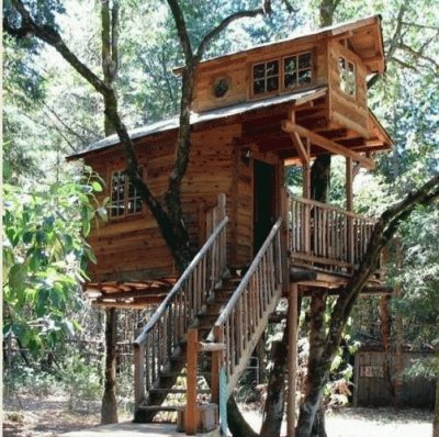 tree house 9.