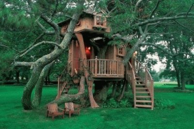 tree house 10