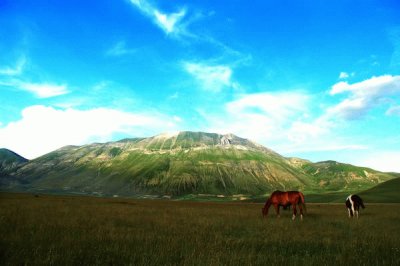 Castelluccio di Norcia