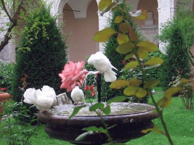 Giardino dell 'Abbazia di Montecassino