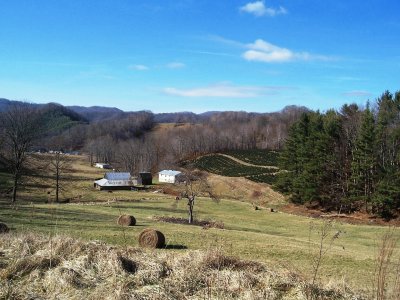 Watauga County Farm