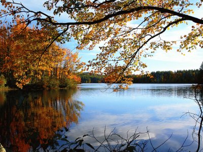 autumn at the lake