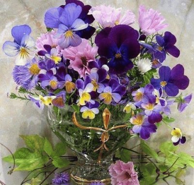 violets