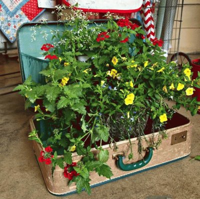 suitcase planter