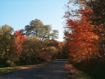 beautiful autumn