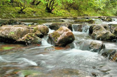 flowing waters