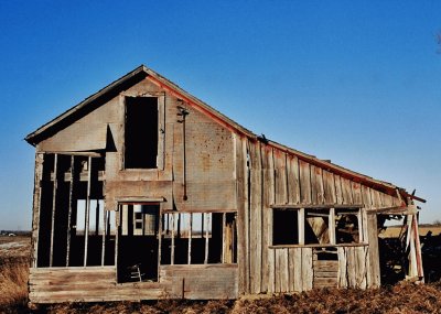 barn wood