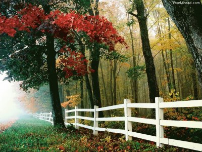 white fence in autumn