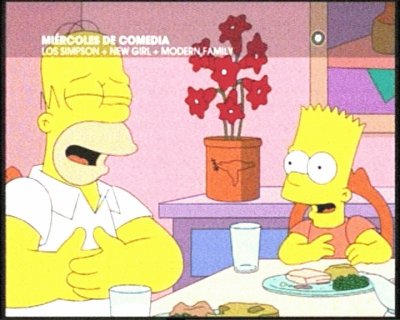 HOMERO Y BART