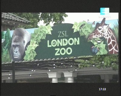 LONDON ZOO