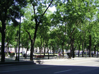 parque el retiro, Madrid