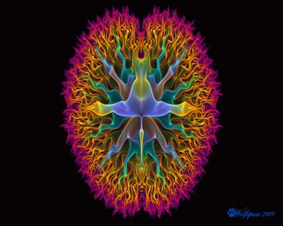 פאזל של your brain on fractals