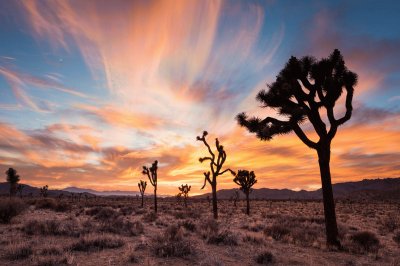 desert sky