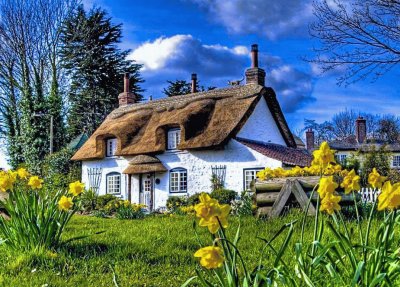 thatched roof cottage