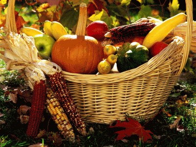 autumn basket