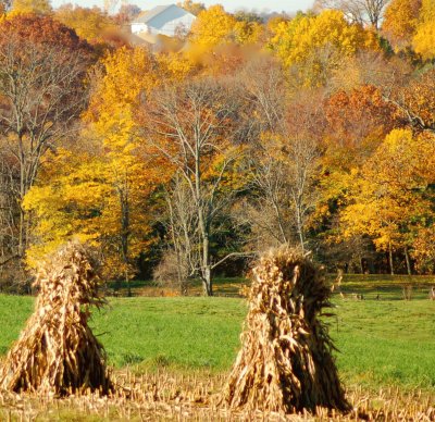 corn houses