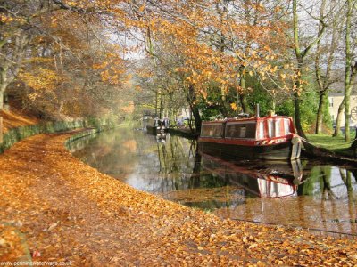 fall along the canal jigsaw puzzle