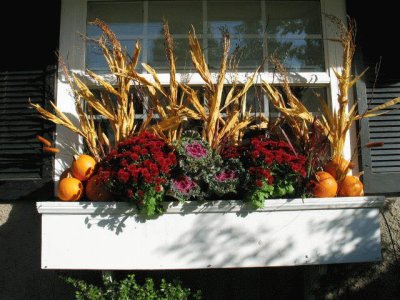 fall window box