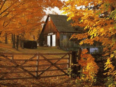 autumn country side jigsaw puzzle
