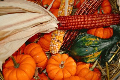 fall colors jigsaw puzzle