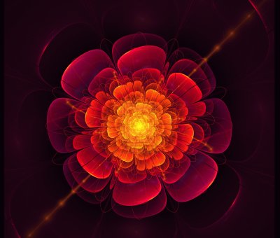 פאזל של fractal flower