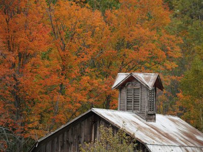 Bufka farm