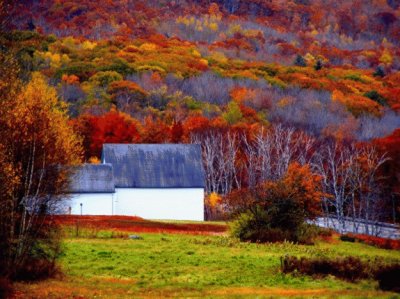 Maine farm