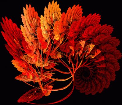 fall fractal