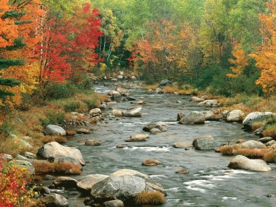 trout stream