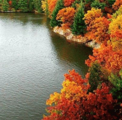 autumn at the lake